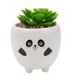 Vaso Porcelana Planta Artificial Panda 10cm