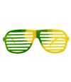 Armação Óculos Verde Amarelo Torcer Brasil